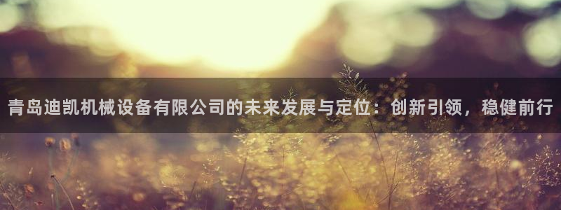 鸿运彩app平台