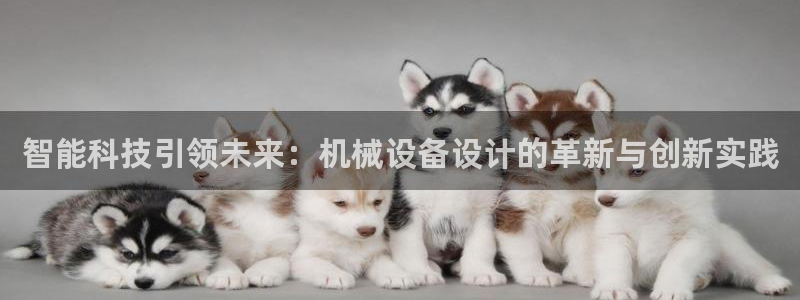鸿运平台靠谱吗