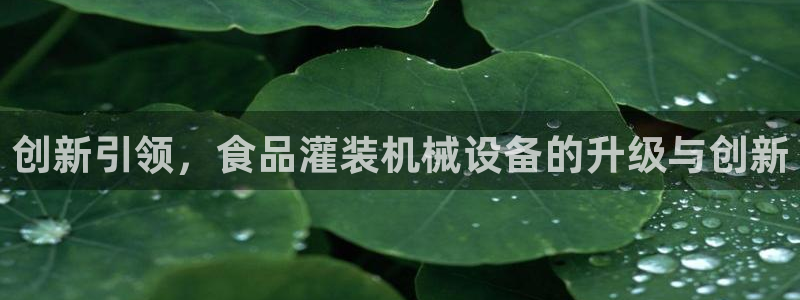 鸿运防水服务平台