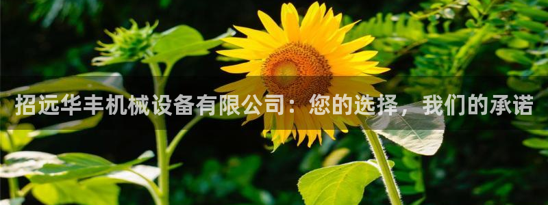 鸿运商滴管理平台