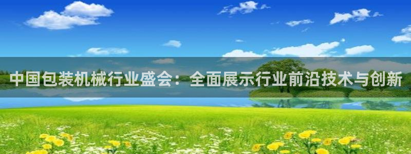 鸿运游戏棋牌平台