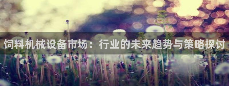 鸿运国际平台台