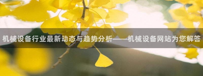 鸿运阿姨直播平台