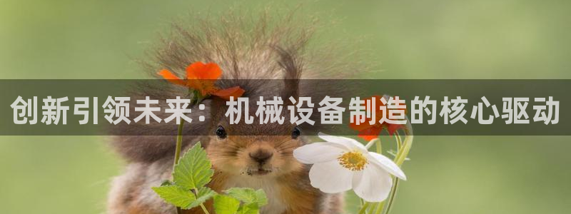 香港鸿运平台