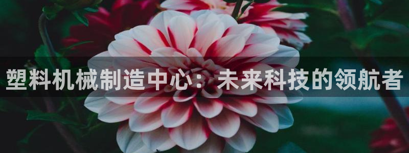 鸿运平台代还骗局