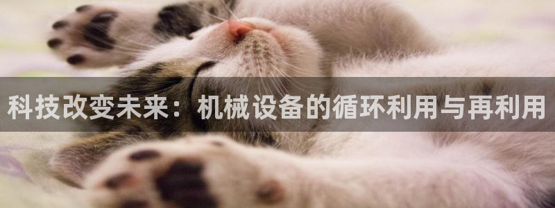 鸿运平台刷投注