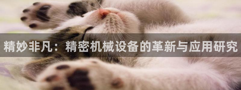 琥珀鸿运诈骗平台