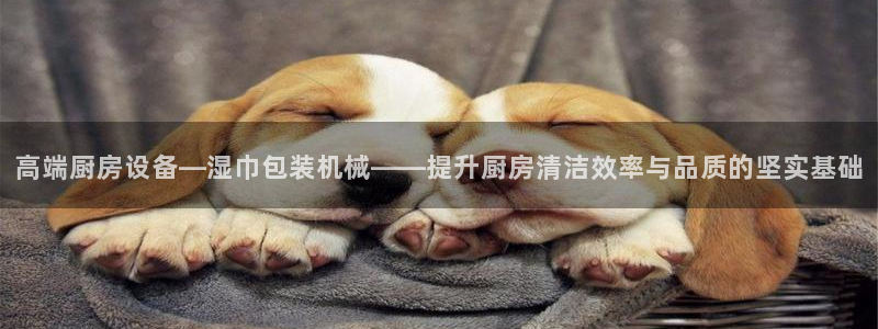 鸿运网上平台