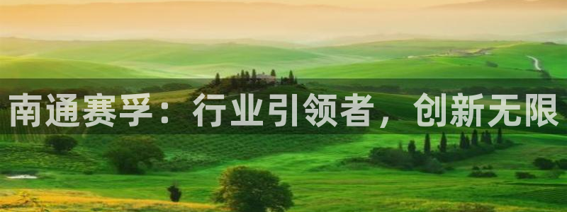 鸿运体育平台网址是什么