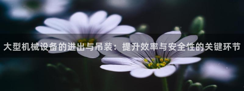 谢鸿运平台