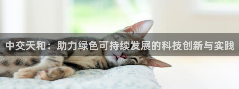 鸿运来是什么平台