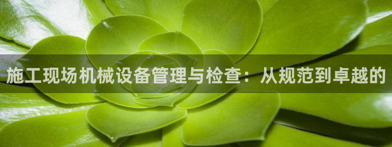 鸿运代还平台