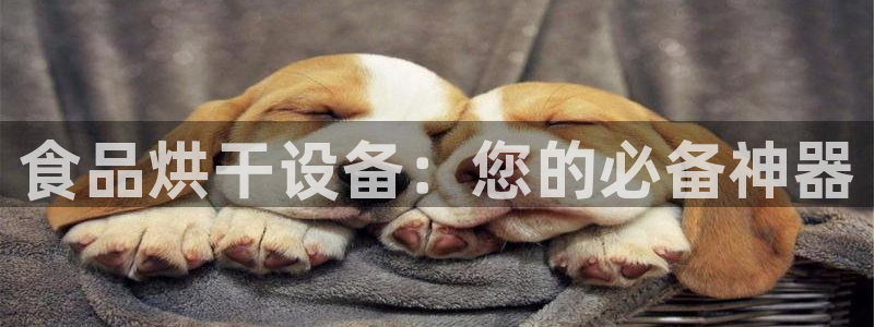 鸿运福彩平台