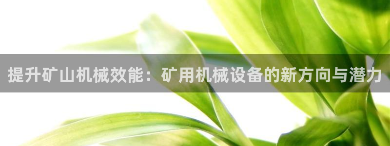 鸿运六月直播平台