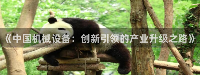 鸿运13水平台