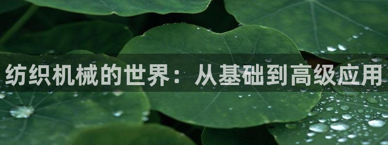 鸿运满堂平台