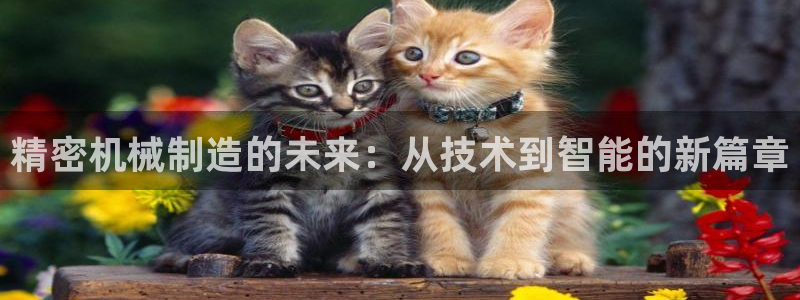 鸿运交易平台app