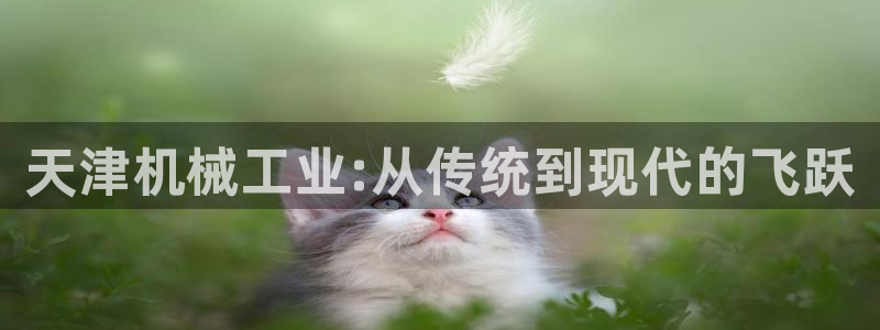 琥珀鸿运平台