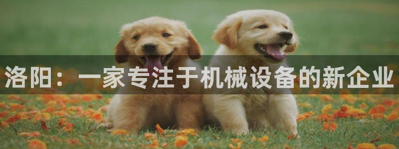 游戏鸿运平台网站