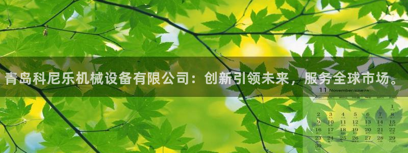 鸿运国际平台平台怎么样