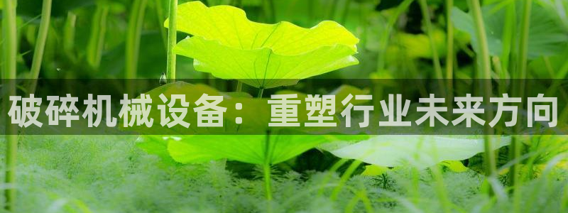 鸿运彩票平台