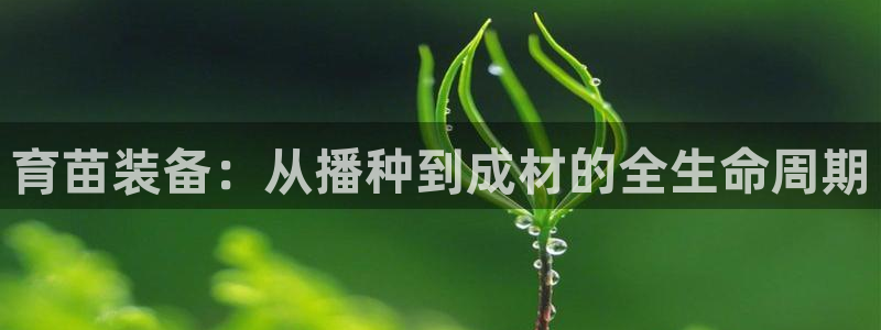 鸿运串串团购平台