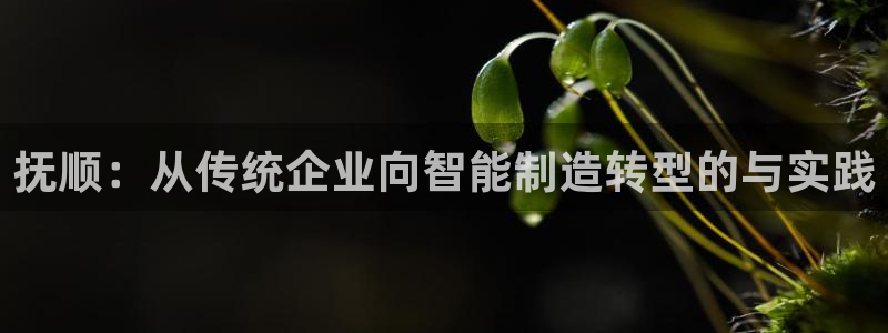 鸿运28投注平台