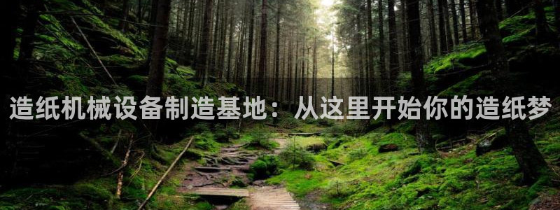 鸿运集团有几个平台