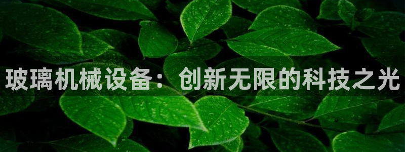 鸿运平台试玩