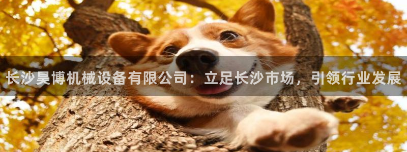 鸿运借款是什么平台