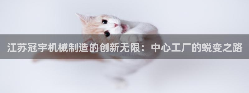 国际鸿运官方平台