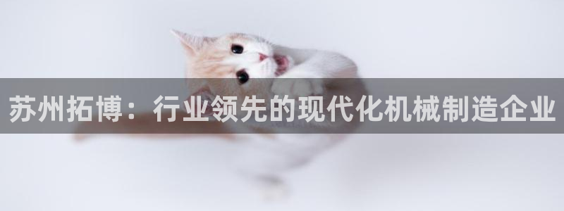 鸿运公司有哪些平台