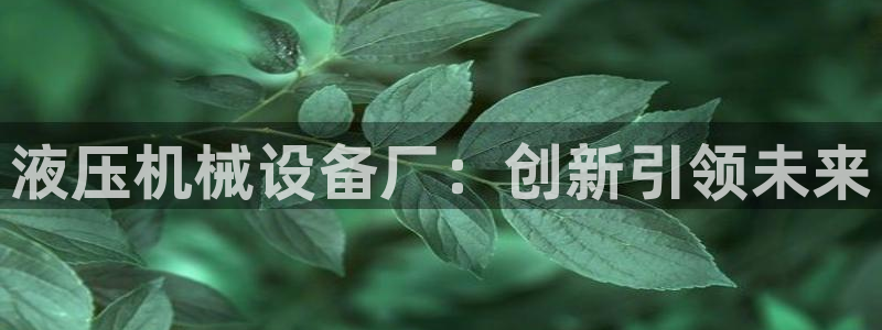 鸿运外汇平台