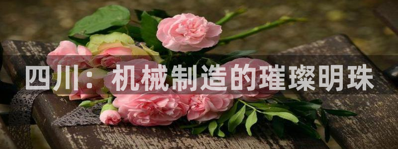 鸿运网平台用户