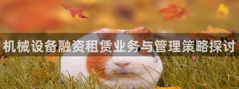 鸿运到平台被骗