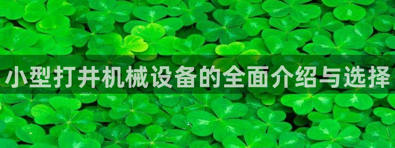 鸿运平台在线客服