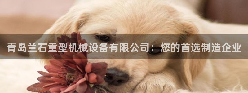 鸿运平台是骗子平台吗