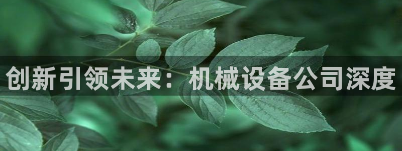 鸿运彩票平台怎样