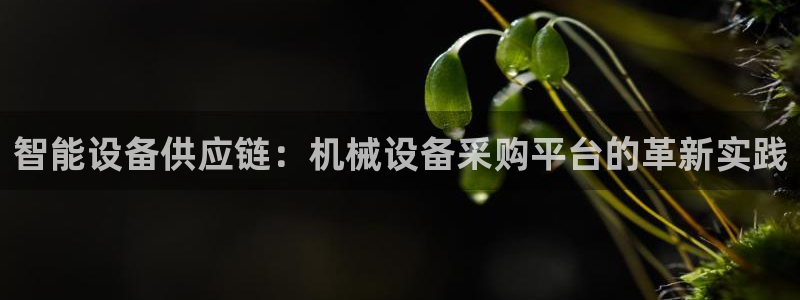 鸿运平台网址