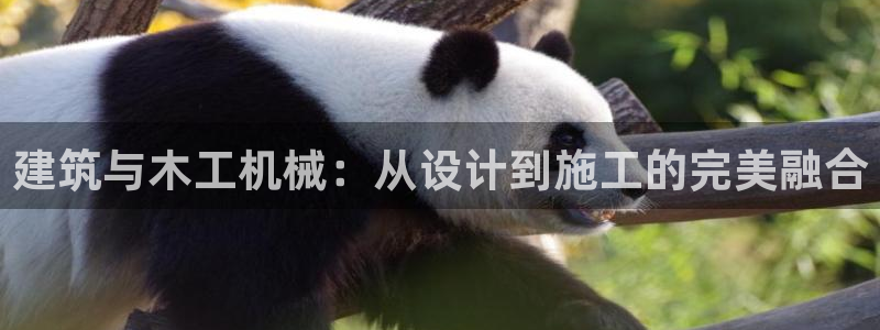 鸿运华宁技术平台