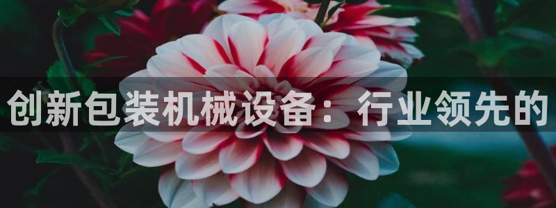 鸿运平台分分彩