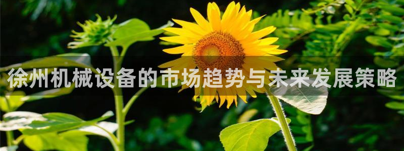 鸿运牛蹄团购平台