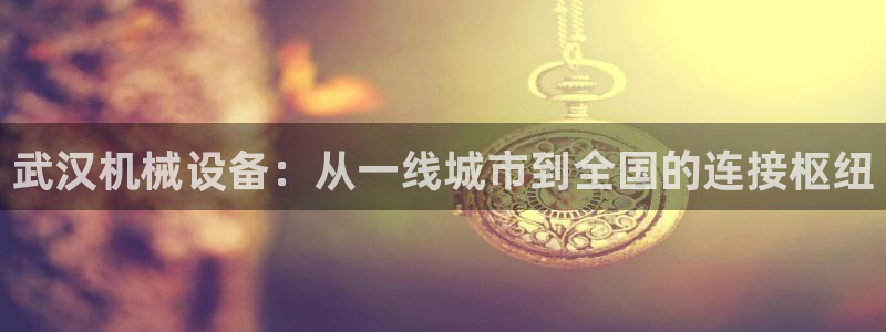 鸿运平台是什么