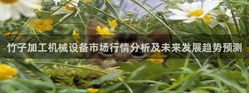 香港鸿运微投资平台