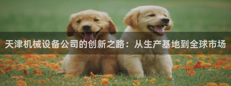 国际鸿运手机版平台