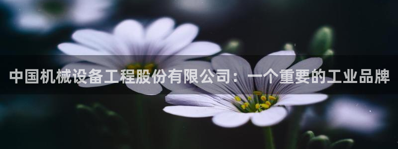 鸿运自助卡密平台