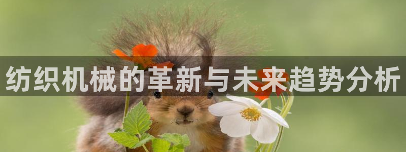 鸿运汽车团购平台