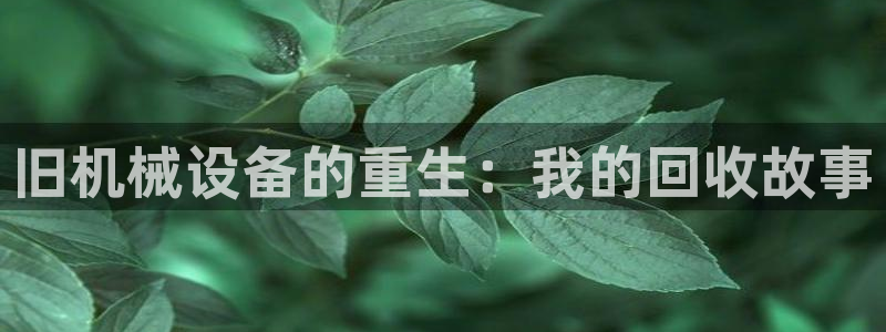 鸿运美食团购平台