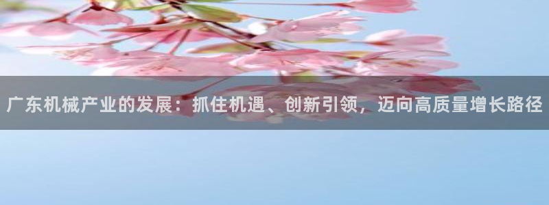 鸿运投资平台是什么