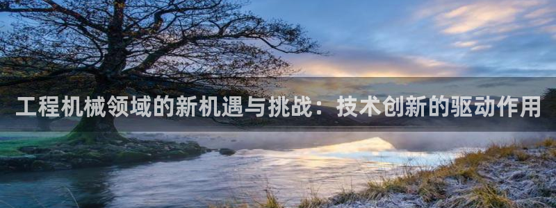 鸿运代拍平台